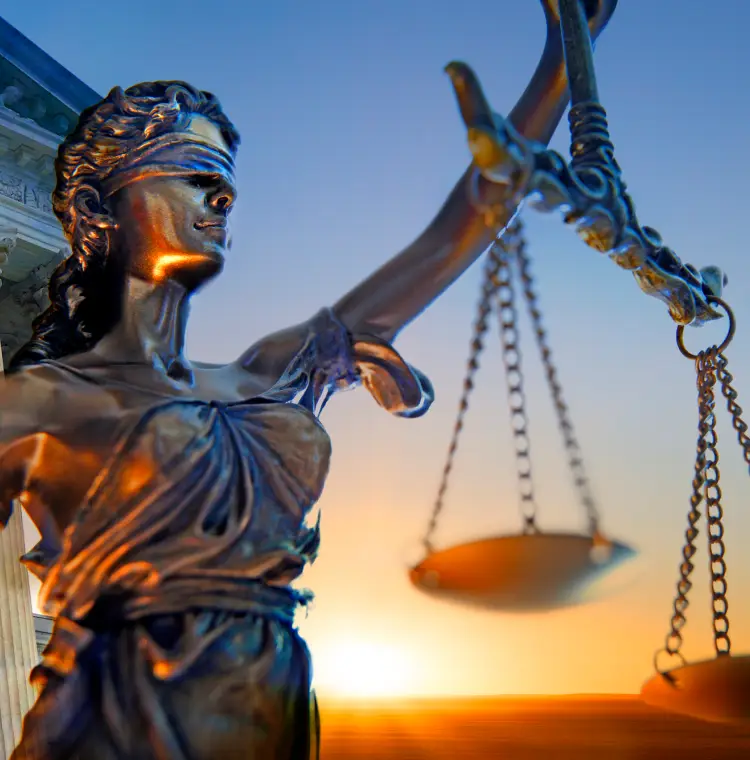 mb masthead federal litigation 2x